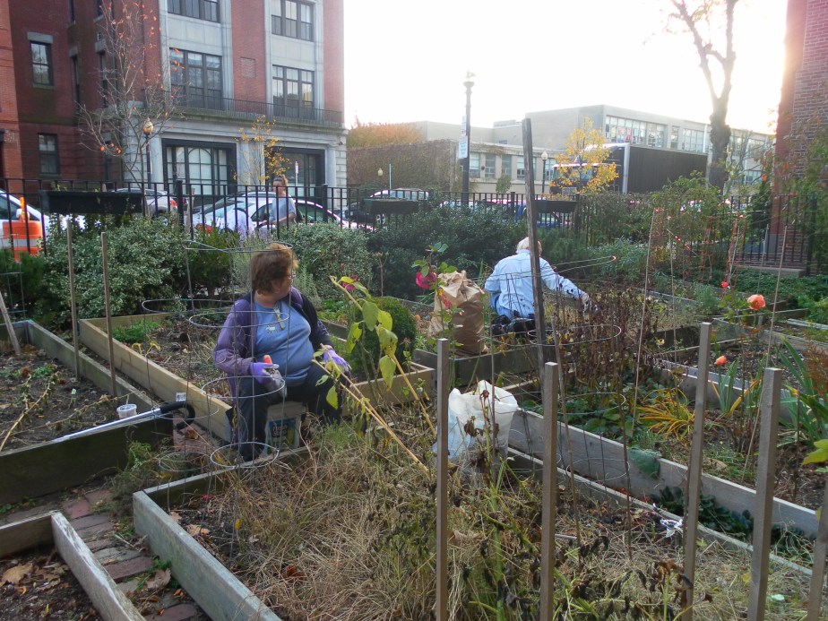 Room to grow in Boston: Local food culture and community&nbsp;building